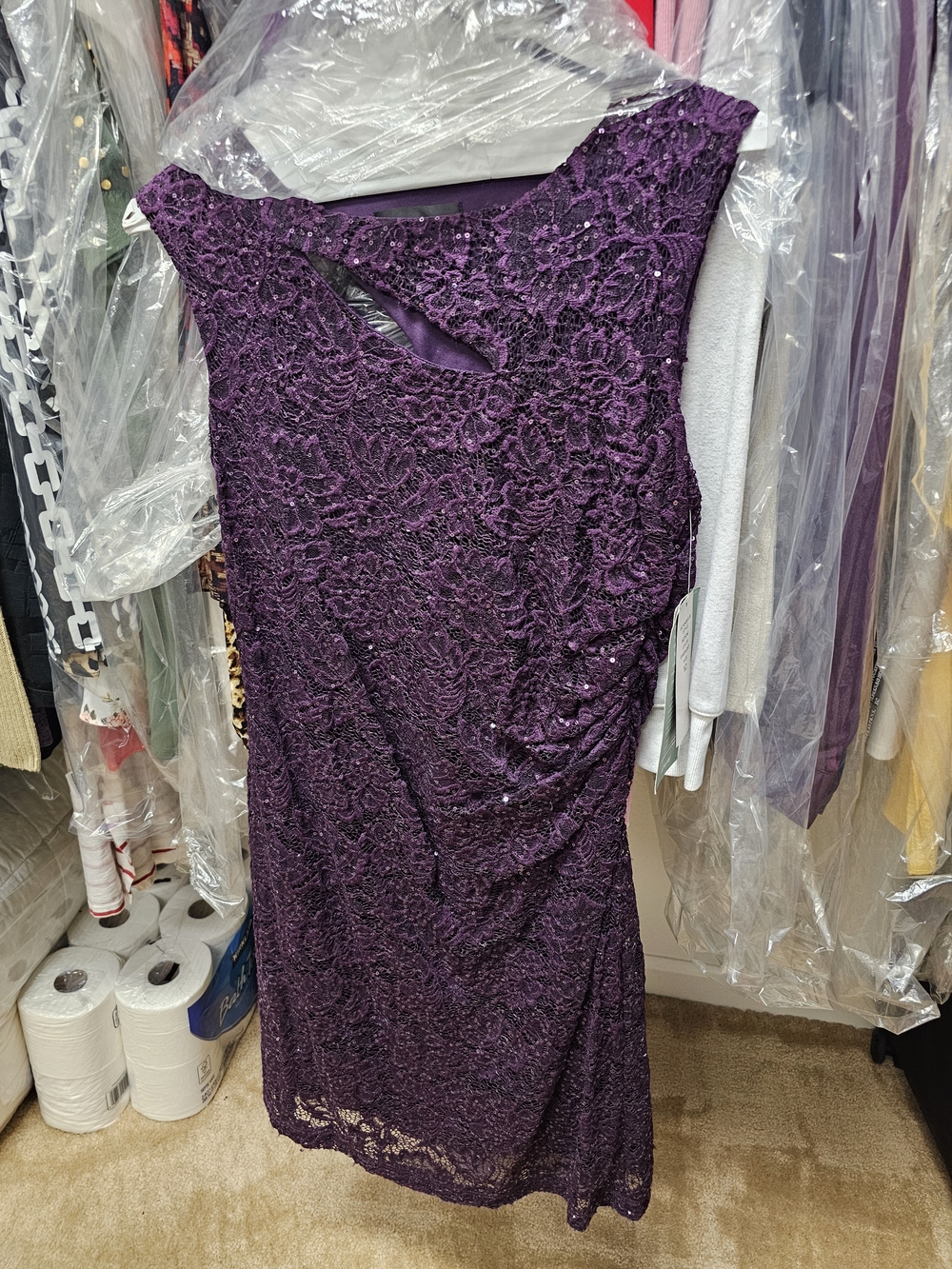 Elegant Purple Lace Sleeveless Dress